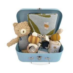 THE BLUEBERRY HILL Blueberry Bear Bee Gift Set: Paperboard Suitcase